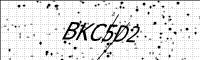 captcha-image
