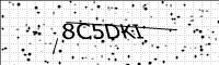 captcha-image