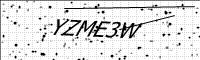 captcha-image