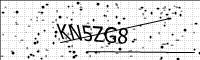 captcha-image