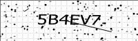 captcha-image