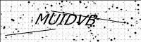 captcha-image