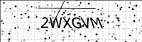 captcha-image