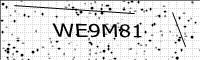 captcha-image