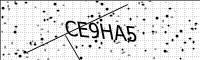 captcha-image
