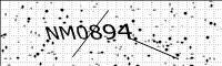captcha-image