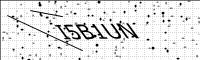 captcha-image