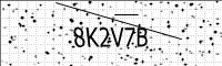 captcha-image