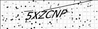 captcha-image