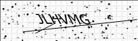 captcha-image