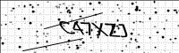 captcha-image