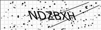 captcha-image