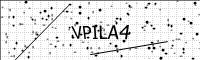 captcha-image