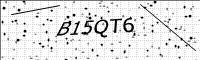 captcha-image