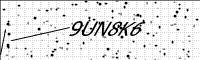 captcha-image