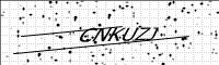 captcha-image