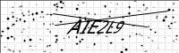 captcha-image