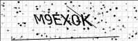 captcha-image