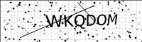 captcha-image
