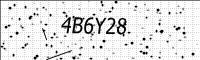 captcha-image