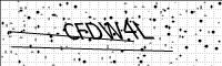 captcha-image