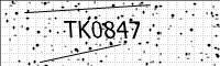 captcha-image