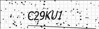 captcha-image