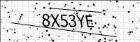 captcha-image