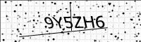 captcha-image