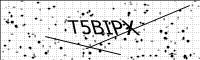 captcha-image