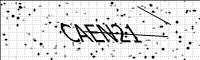 captcha-image