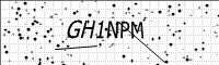 captcha-image