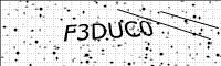 captcha-image