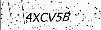 captcha-image