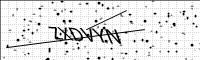 captcha-image