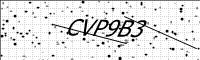 captcha-image