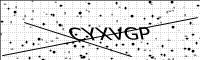 captcha-image