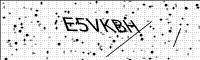 captcha-image