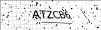 captcha-image