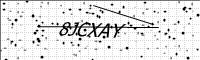 captcha-image