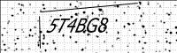 captcha-image