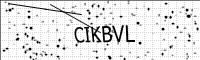 captcha-image