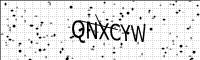 captcha-image
