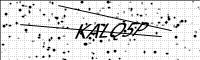 captcha-image