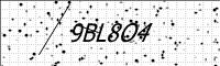 captcha-image