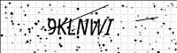 captcha-image