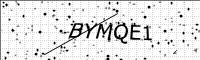 captcha-image