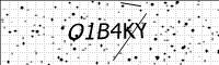 captcha-image