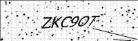 captcha-image