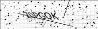 captcha-image